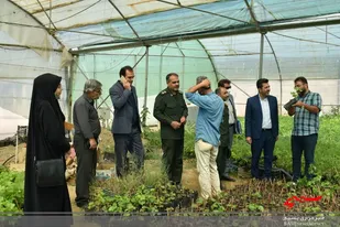 بازدید اعضای کلینیک صنعت یار بسیج از مجتمع گلخانه داران شاهرود+ تصاویر