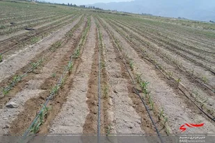 ١٠۶ پروژه آب و خاک سازمان جهاد کشاورزی در هفته دولت به بهره&zwnj;برداری رسید