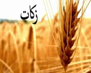 رشد دو برابری پرداخت زکات در ایلام
