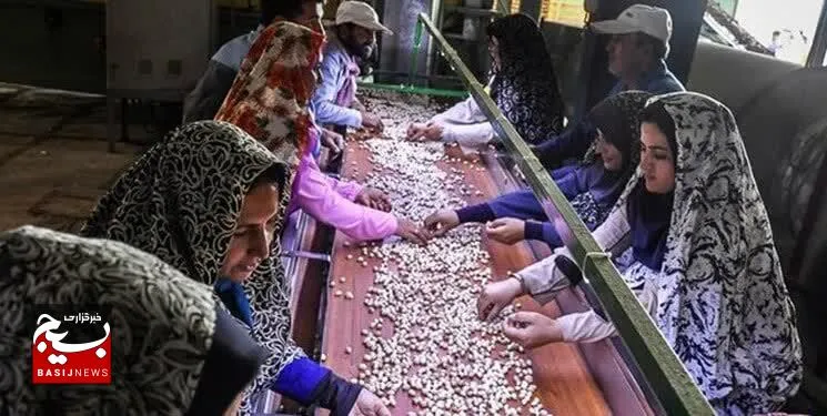 افتتاح بازارچه اشتغال‌زایی بانوان در بهبهان