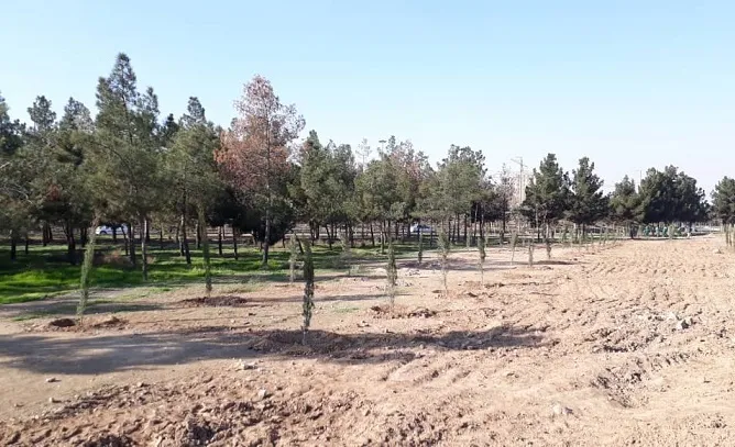 اراضی ۴۰ هکتاری جنگلکاری به شهرداری کهریزک واگذار می شود