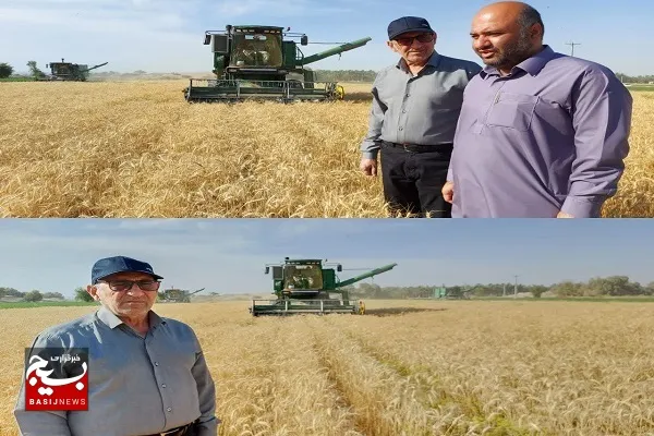 آغاز پرداخت مطالبات گندمکاران سیستان و بلوچستان