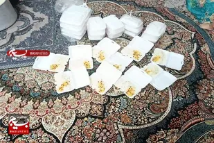 توزیع ۱۰۰ پرس غذای نذری توسط بانوان بسیجی پایگاه نور