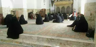 کارگاه آموزش نحوه کاشت و نگهداری گیاه کاکتوس برگزار شد