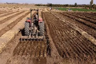 کشت پاییزه در ۷۰۰ هزار هکتار از اراضی آذربایجان شرقی