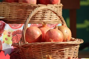 آغاز پنج&zwnj;روزه &laquo;جشنواره بزرگ انار&raquo; در کوهدشت