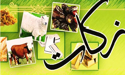 شورای زکات پرداخت کننده زکات باشد