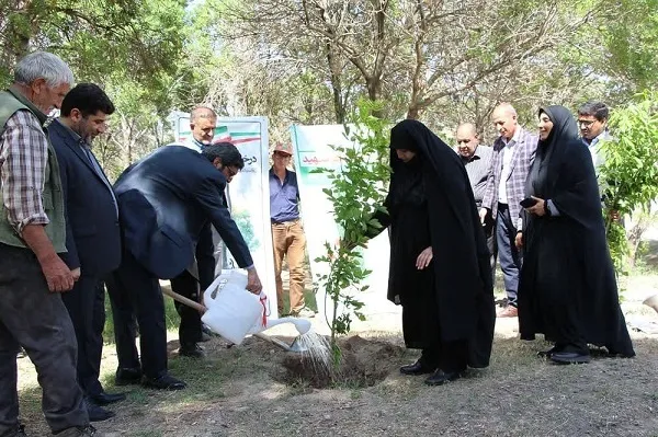 کاشت 124 نهال به یاد شهدای جهادگر و سنگرساز بی‌سنگر آذربایجان شرقی