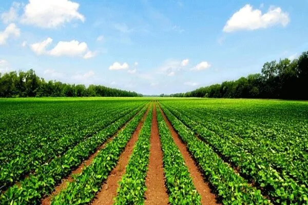 تحول در سیمای کشاورزی استان ایلام