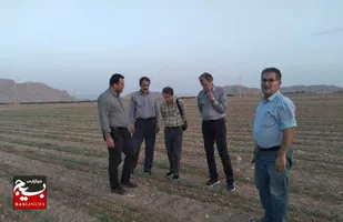 بازدید رئیس موسسه تحقیقات پنبه کشور از مرکز تحقیقات و آموزش کشاورزی و منابع طبیعی استان در شاهرود