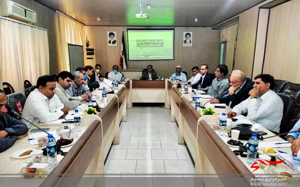 در سال زراعی جاری ١۴٠ هزار هکتار از اراضی کشاورزی سیستان و بلوچستان به زیرکشت محصولات زراعی میرود
