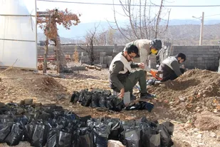 عزم راسخ سازمان بسیج جامعه کشاورزی سپاه فتح برای احیای جنگل های زاگرس