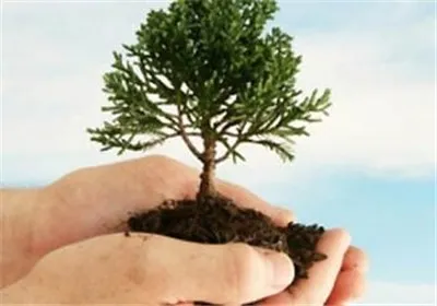 حفظ و حراست از منابع طبیعی یک وظیفه ملی است