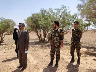 بازدید فرماندار پیشوا از اراضی جنگلی روستای یوسف&zwnj;آباد