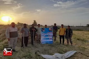 همکاری گروه جهادی حوزه مقاومت چهارده معصوم (ع) جزینک در برداشت محصولات
