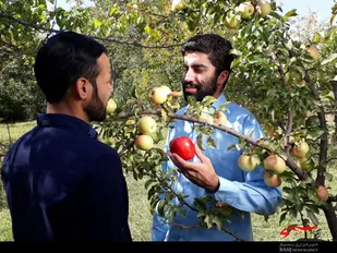 مستند روایتی سردار شهید عمران پستی کلید خورد