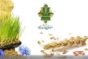 پرداخت ۱۵ میلیارد تومان غرامت به کشاورزان لرستانی