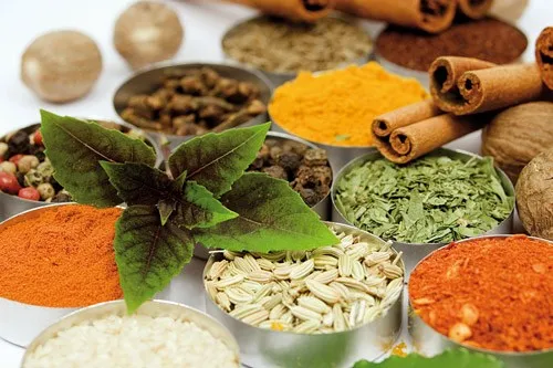 وجود مافیای داروهای شیمیایی مانعی برای حضور گیاهان دارویی در چرخه درمانی کشور