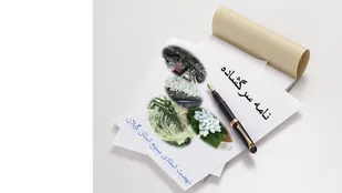 نامه سرگشاده شماره 3 نهضت استادی بسیج گیلان خطاب به بازرس کل استان