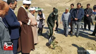 آغاز کاشت ۶ هزار نهال در شهرستان طارم به روایت تصویر