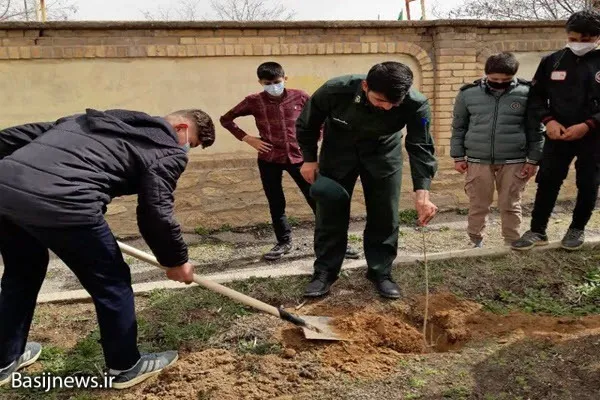 غرس ۵۰ اصله نهال توسط بسیج ورزشکاران در منطقه قهاوند