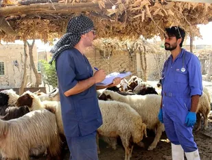 خدمات جهادی به جامعه دامداری مناطق محروم ارائه می شود