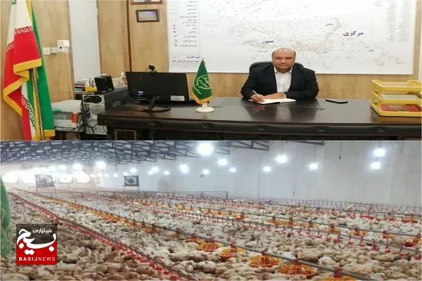 یک هزار و ۳۴۰ تن گوشت مرغ در ایرانشهر تولید شد