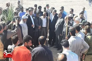 آغاز طرح توسعه ۲۳۰۰ هکتاری نخلستان&zwnj;های سیستان وبلوچستان با ارقام تجاری و اقتصادی