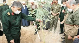 ۱۰۰ هزار اصله نهال در هفته منابع طبیعی کاشت می شود