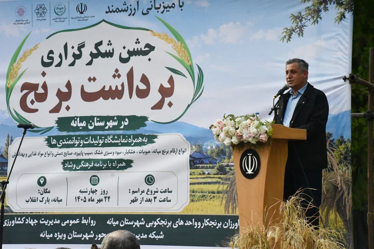 کشت برنج در ۸ هزار هکتار شالیزار آذربایجان‌شرقی