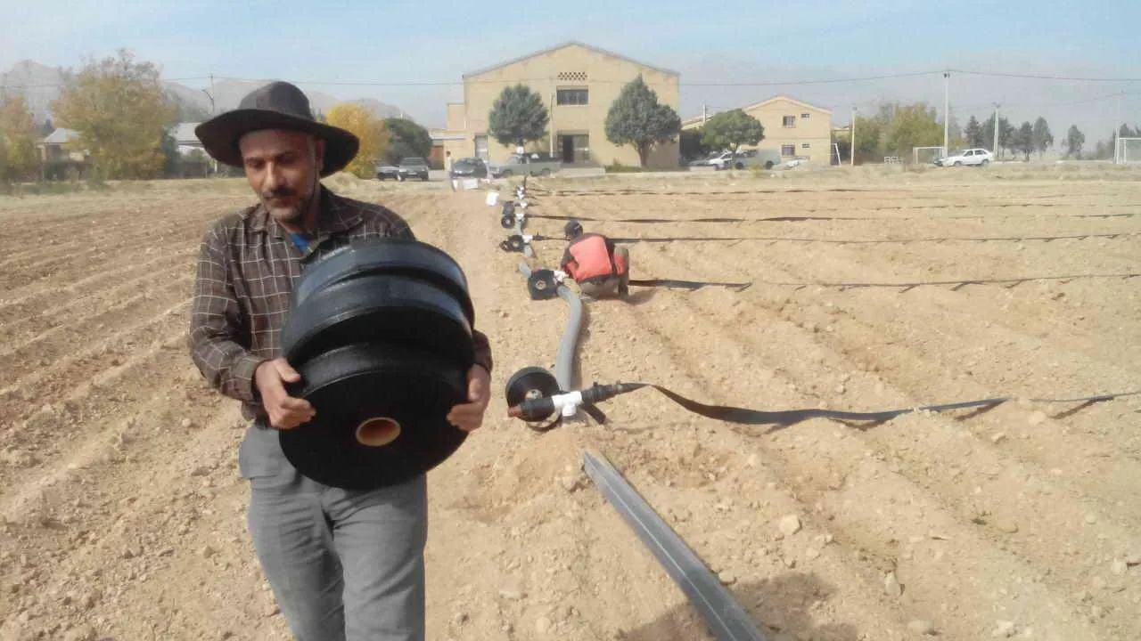 اجرای سیستم جدید آبیاری بارانی رین فلت در اراضی مرکز تحقیقات و آموزش کشاورزی شاهرود