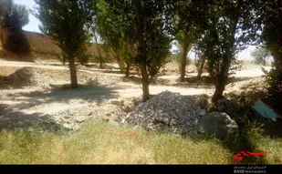تخریب اکوسیستم به بهانه ایجاد معبر در صالح&zwnj;آباد بهار