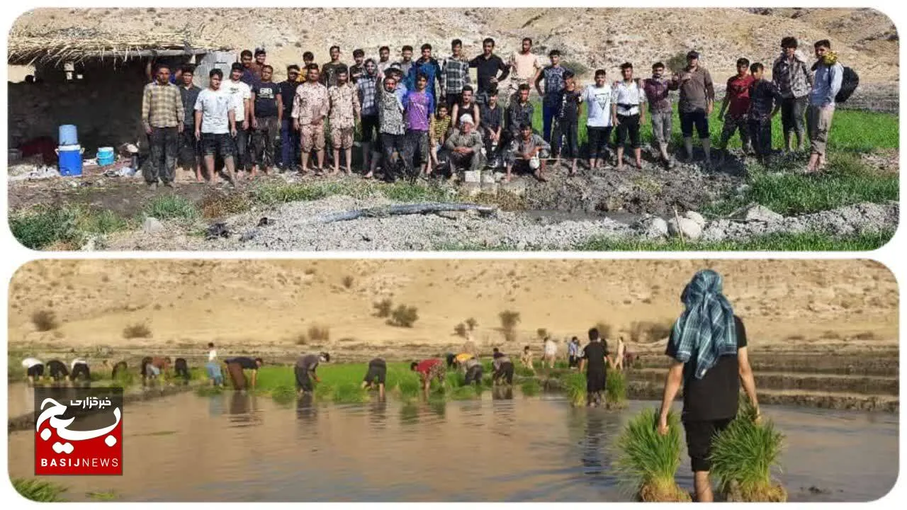 کار جهادی در گرمای ۵۰ درجه سانتی گراد