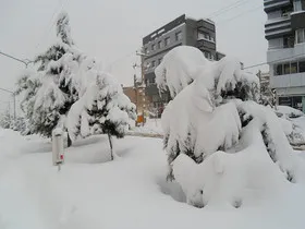 فعالیت 8 اکیپ عملیاتی برای وصل برق تویسرکان