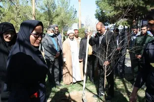 غرس و کاشت نهال در شرکت برق منطقه&zwnj;ای سیستان و بلوچستان مزین به نام شهیدان صنعت برق