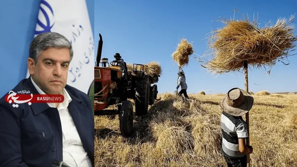 پرداخت ۶۰ درصد مطالبات گندم‌کاران اردبیل