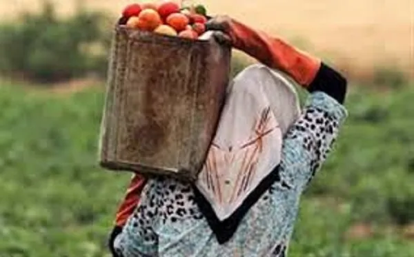 اجرای طرح توانمندسازی زنان در میاندوآب