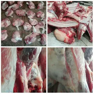 قربانی ۱۴ راس گوسفند به همت بسیج خواهران شاهرود