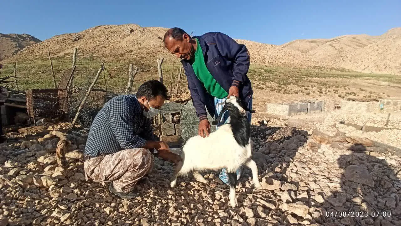 اعزام کاروان دامپزشکی قرارگاه جهادی توسعه روستایی بنیاد احسان به منطقه عشایری سیاه کوه