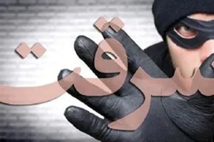 لزوم افزایش اطلاع&zwnj;رسانی&zwnj; به شهروندان در راستای کاهش سرقت&zwnj;ها