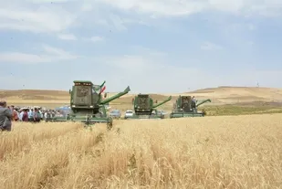32 دستگاه کمباین با تسهیلات بانکی تحویل کشاورزان هشترود شد