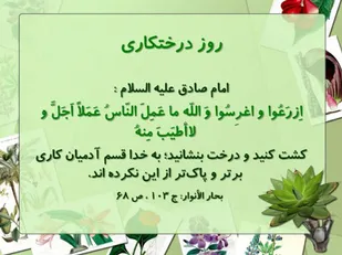 کاشت 230 هزار اصله نهال با یاد 230هزارشهید کشور در اصفهان