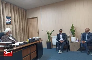 تأکید بر هم&zwnj;افزایی فرهنگی و حمایت از هنرمندان بسیجی در سیرجان