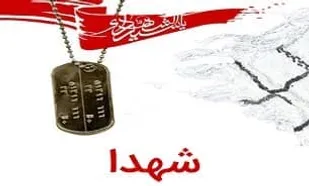 فرزندم خدمت به دین را در لباس روحانیت دوست داشت