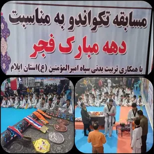 برگزاری مسابقات تکواندو بسیج برادران