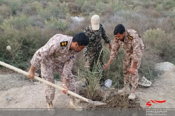 کاشت ۲۱ اصله نخل در آخرین روز از هفته منابع طبیعی توسط تیپ امام صادق(ع) استان بوشهر