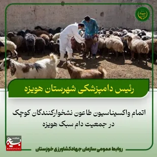 اتمام واکسیناسیون طاعون نشخوارکنندگان کوچک در جمعیت دام سبک هویزه