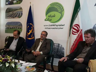 توزیع روزانه ۹٠ تن مرغ در کهگیلویه و بویراحمد / برنامه های جهاد کشاورزی استان برای تنظیم بازار