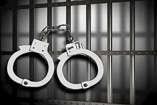 عامل تیراندازی در فردیس بازداشت شد