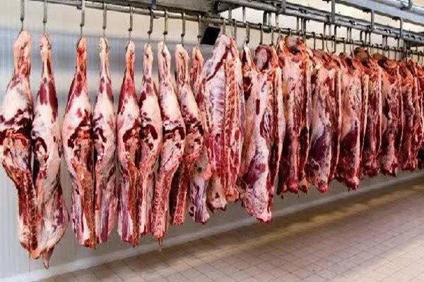 محکومیت ۲۱ میلیارد ریالی محتکر گوشت در همدان